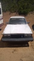 Cressida Cressida