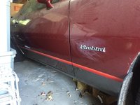 Firebird Firebird