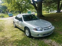 Cavalier Cavalier