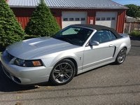 Mustang SVT Cobra