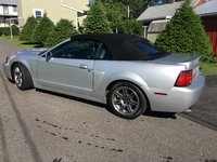 Mustang SVT Cobra