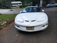 Firebird Firebird