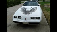 Firebird Firebird