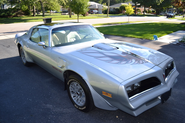 1977 Pontiac Firebird - Pictures - CarGurus