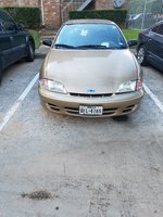 Cavalier Cavalier