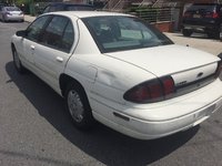 Lumina Lumina
