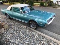 Cougar Cougar
