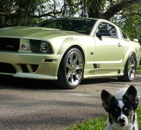 2005 Saleen S281 Overview 2005 Saleen S281 Overview