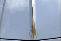 El Camino El Camino