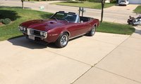 Firebird Firebird