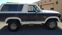 Bronco Bronco