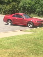 Mustang SVT Cobra Mustang SVT Cobra