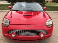 Thunderbird Thunderbird