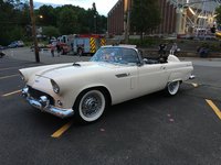 Thunderbird Thunderbird