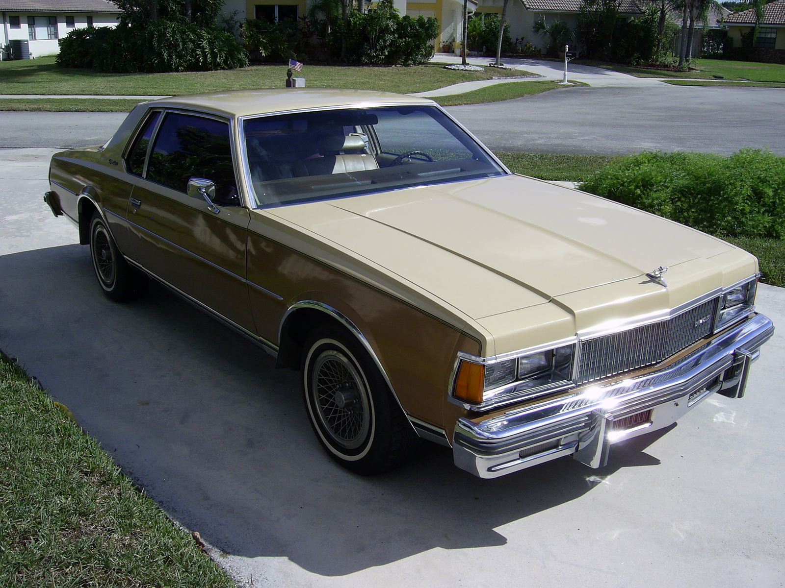 1977 Chevrolet Caprice Overview Cargurus