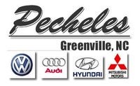 Pecheles Automotive - Greenville logo