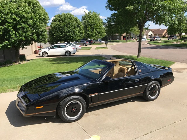 1982 Pontiac Firebird - Pictures - CarGurus