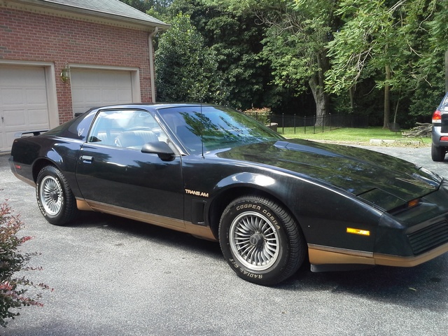 1983 Pontiac Firebird - Pictures - CarGurus