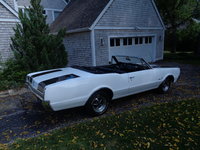 Cutlass Cutlass