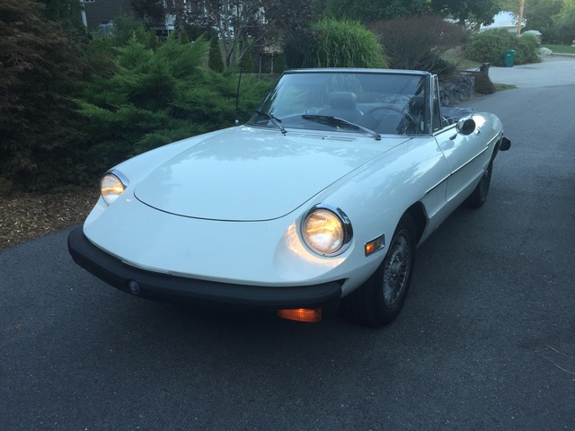 1975 Alfa Romeo Spider Pictures Cargurus