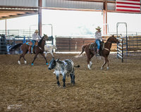 InlineSixCattle InlineSixCattle