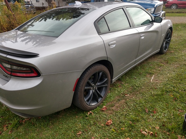 2017 Dodge Charger Pictures Cargurus