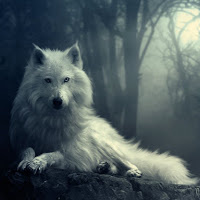 Bigg Badd Wolf Bigg Badd Wolf
