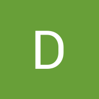 D M D M