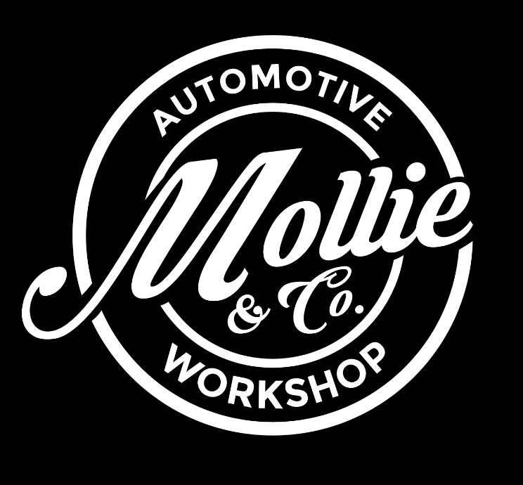 Mollie Amp Company Llc Greer Sc Read Consumer Reviews