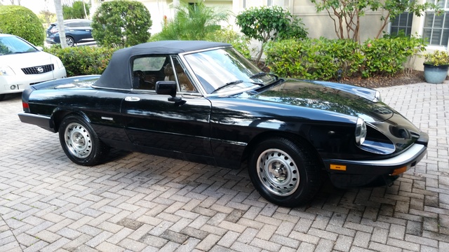 1987 Alfa Romeo Spider Pictures Cargurus
