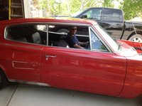 cotonymopar cotonymopar