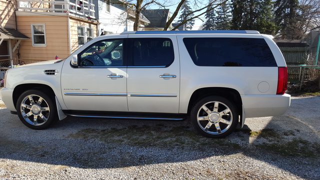 2010 Cadillac Escalade Esv Pictures Cargurus
