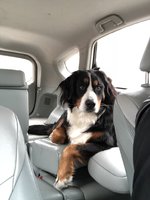 otwilson otwilson