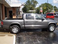 2003 Dodge Dakota Pictures Cargurus