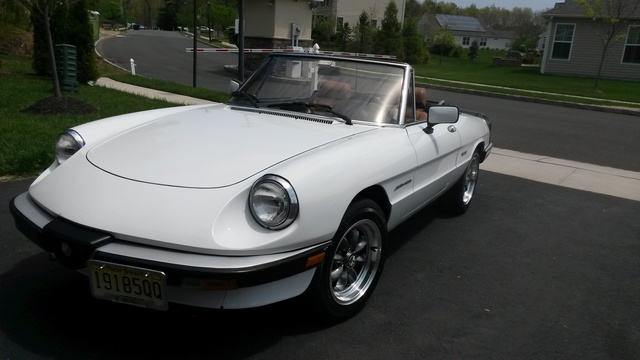 1989 Alfa Romeo Spider Pictures Cargurus