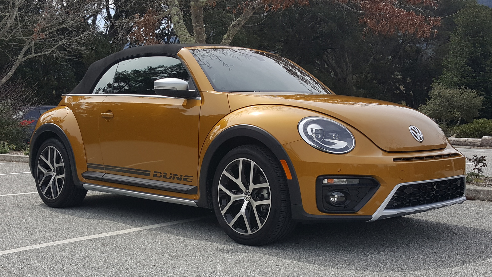 2018 punch buggy