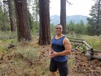 454asian 454asian