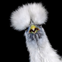 Todd Emrick Todd Emrick