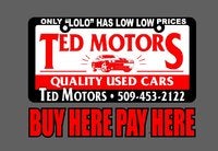 Ted Motors logo