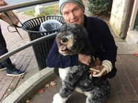 WeLuvDogs WeLuvDogs