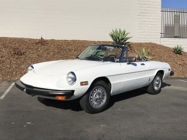1975 Alfa Romeo Spider Pictures Cargurus
