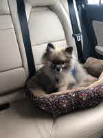 Annie0427 Annie0427