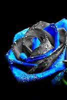 rwruhu563 rwruhu563