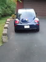 AZ2007Beetle AZ2007Beetle
