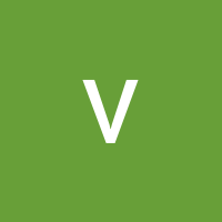 vdog 5 vdog 5