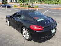 terrycayman terrycayman