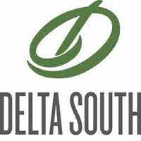 Delta South Motors logo