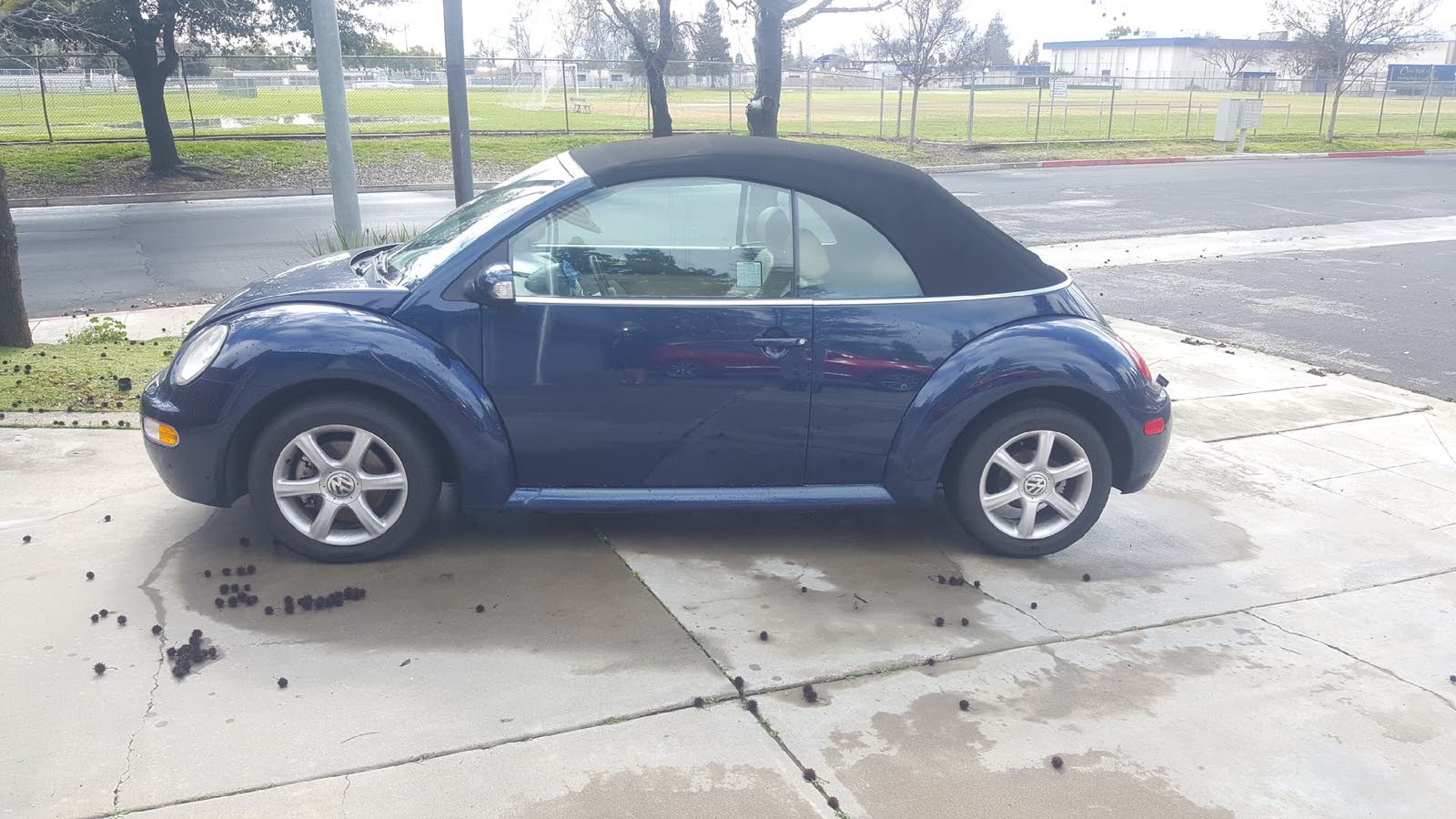 Volkswagen Beetle Questions - Vw Beetle