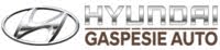 Gaspesie Auto Inc logo
