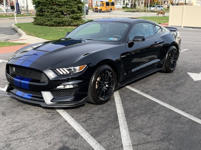 2018 Ford Mustang Shelby Gt350 Pictures Cargurus